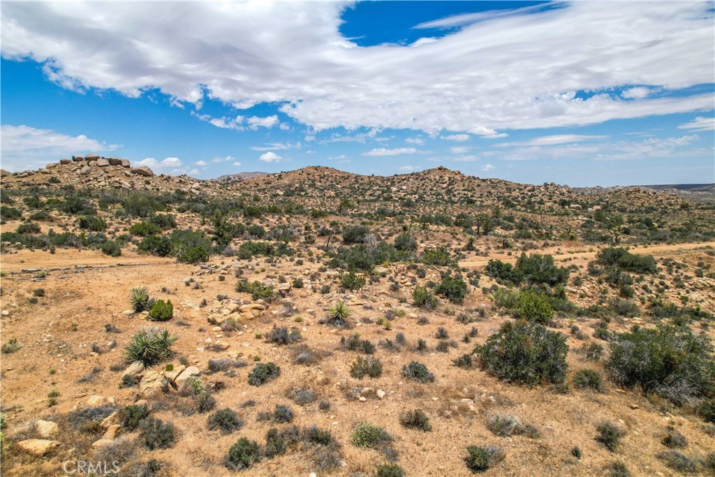 MLS #JT25246603 image #11