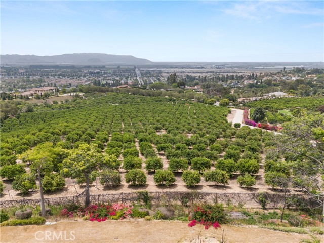 25 Encino Avenue, Camarillo CA: https://media.crmls.org/medias/57a023ea-7f82-4420-98b2-a2adf94db71b.jpg