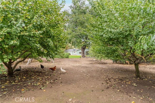 Detail Gallery Image 50 of 61 For 2279 North Ave, Chico,  CA 95926 - 4 Beds | 2 Baths