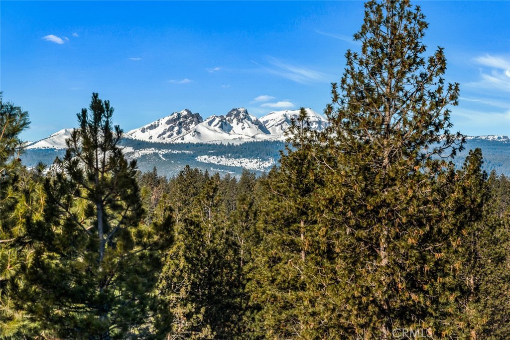 https://media.crmls.org/medias/57a85442-65d6-4d34-a137-dc8abd8f5b51.jpg?preset=X-Large