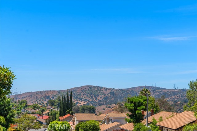 21435 Running Branch Road, Diamond Bar CA: https://media.crmls.org/medias/57ad4fa6-5cba-4817-b15c-1eabed766ada.jpg