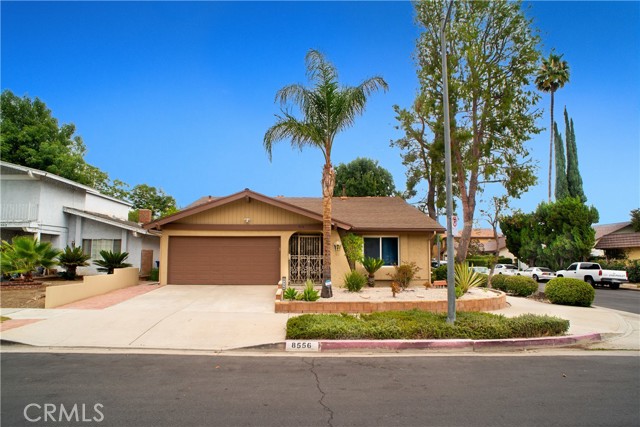 Front Image Thumbnail for CRSR25233533