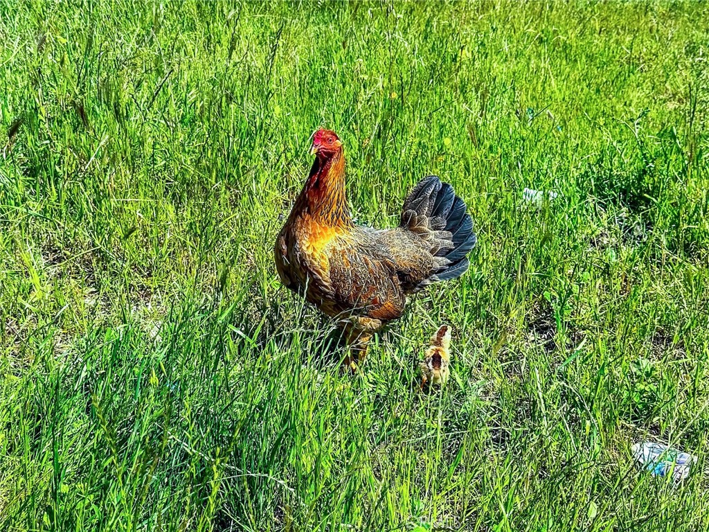 https://media.crmls.org/medias/57bad883-03fc-4763-bb02-84c6d901f9fc.jpg?preset=X-Large