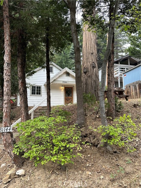 Front Image Thumbnail for CROC26086619