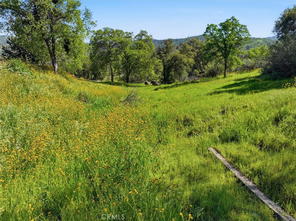 https://media.crmls.org/medias/57c36786-bba6-446c-88ba-df79c2c9dc71.jpg?preset=X-Large