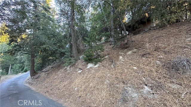 Detail Gallery Image 3 of 7 For 0 Mid Ln, Twin Peaks,  CA 92391 - – Beds | – Baths