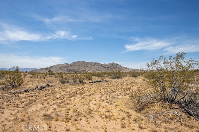 Detail Gallery Image 9 of 16 For 4444 Cielito Dr, Joshua Tree,  CA 92252 - – Beds | – Baths