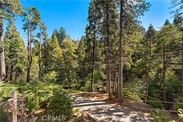Detail Gallery Image 45 of 70 For 400 Cottage Grove Rd, Lake Arrowhead,  CA 92352 - 4 Beds | 4 Baths