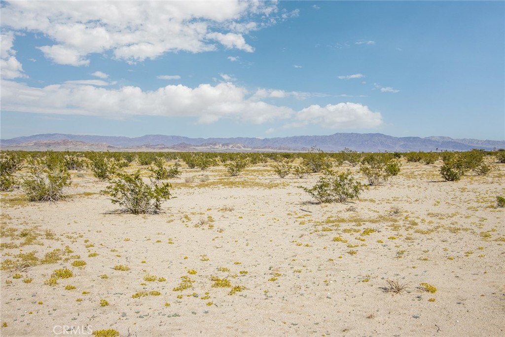 MLS #JT25255739 image #5