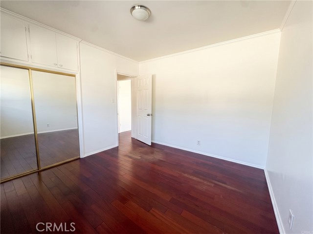6933 Lime photo 22