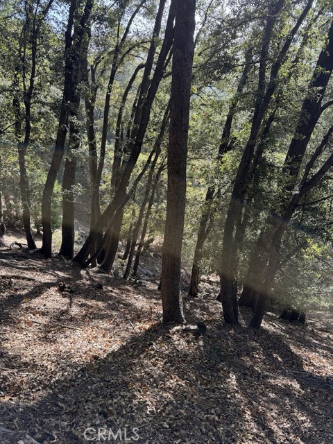 Detail Gallery Image 6 of 6 For 0 343-061-27-000, Cedarpines Park,  CA 92322 - – Beds | – Baths