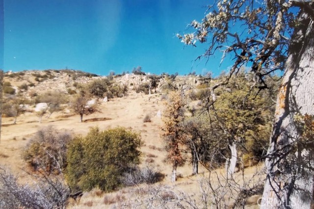 0 Apn Only, Caliente, CA, 93518 0 Apn Only, Caliente, CA, 93518