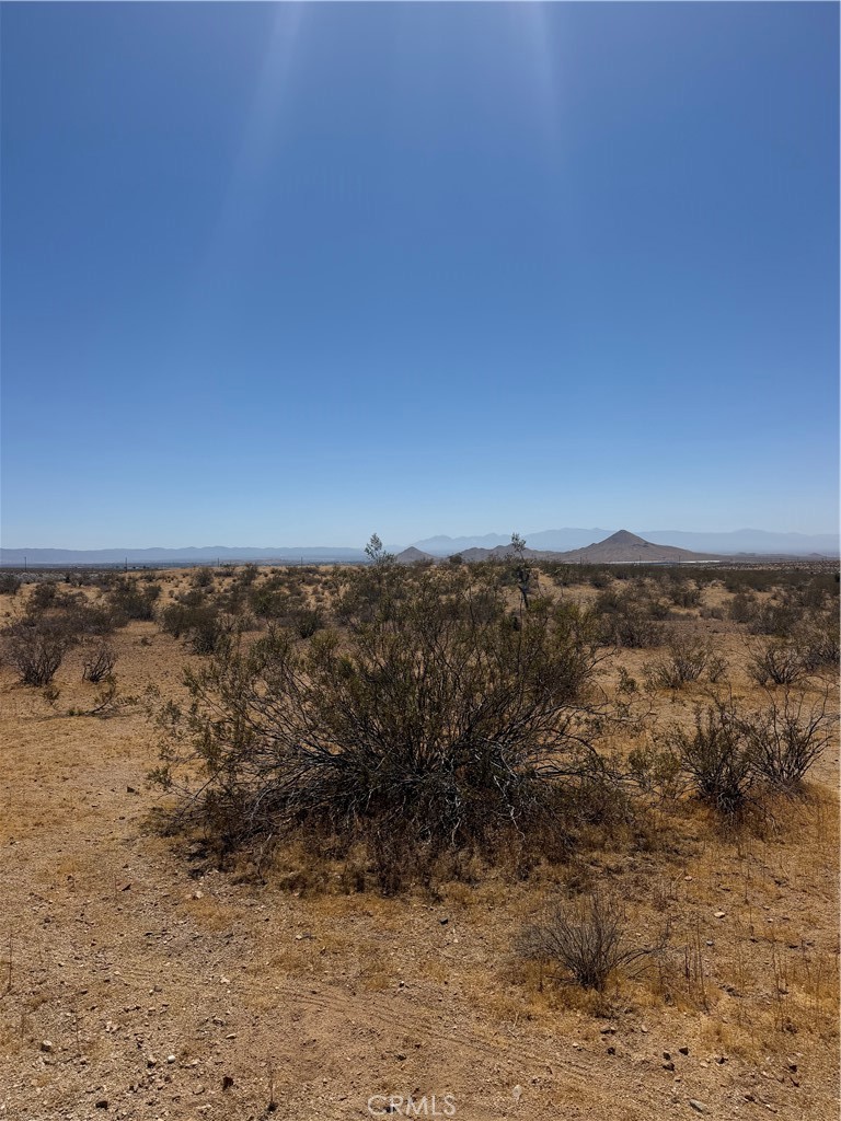 MLS #HD26168976 image #4