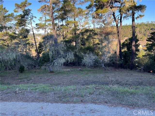 Detail Gallery Image 4 of 13 For 3235 Rogers, Cambria,  CA 93428 - – Beds | – Baths