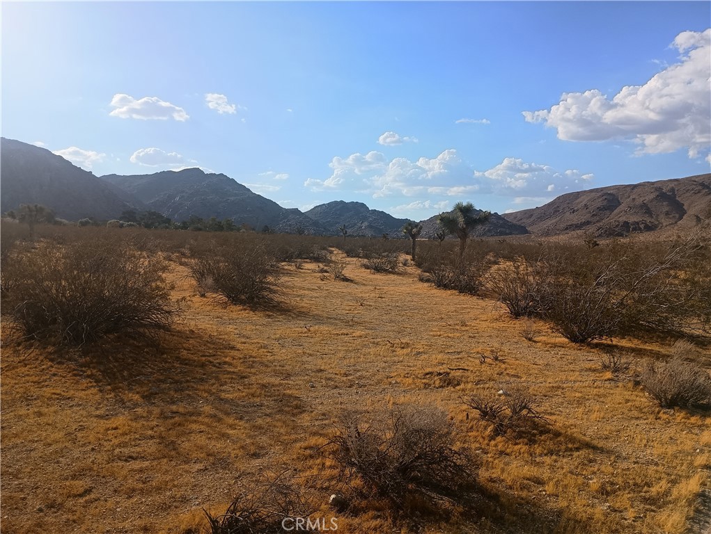 MLS #HD26153564 image #2