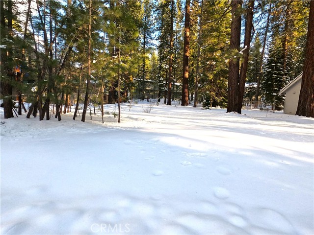 Detail Gallery Image 14 of 19 For 1662 Maiden Hair Ct, South Lake Tahoe,  CA 96150 - – Beds | – Baths