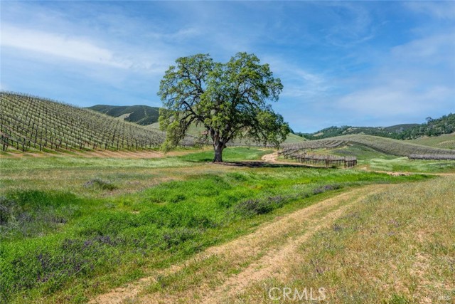 Detail Gallery Image 18 of 20 For 895 State Highway 53, Clearlake,  CA 95422 - – Beds | – Baths