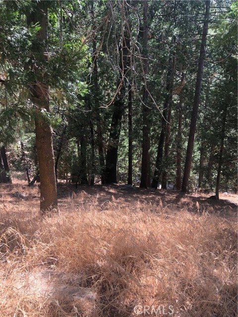 Detail Gallery Image 1 of 1 For 0 Evergreen Lot 43 Tract 7515, Lake Arrowhead,  CA 92352 - – Beds | – Baths