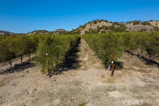 Detail Gallery Image 6 of 75 For 61969 Argyle Rd, King City,  CA 93930 - – Beds | – Baths