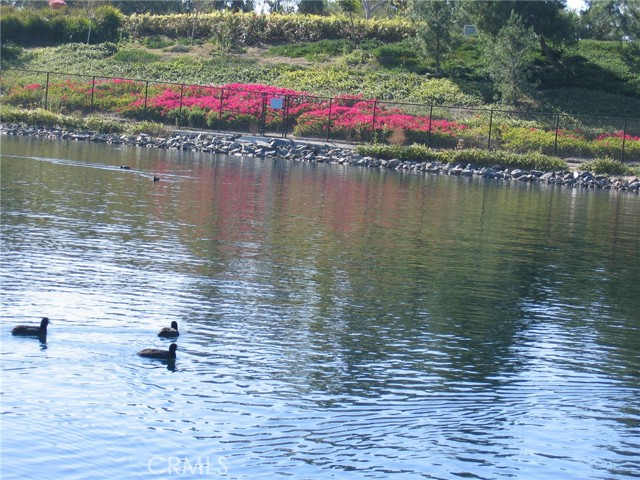 28258 Zarza, Mission Viejo CA: https://media.crmls.org/medias/58207647-dc5a-42b8-817a-f086fcc54829.jpg