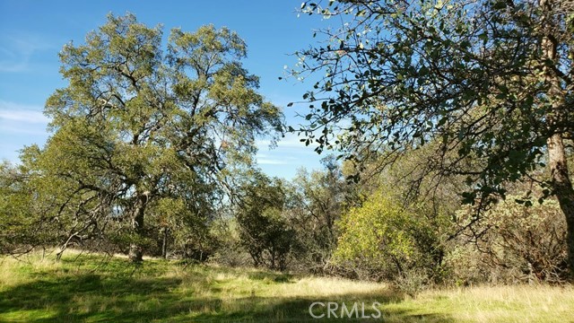 Detail Gallery Image 2 of 15 For 0 Unassigned Boyer Rd, Mariposa,  CA 95338 - – Beds | – Baths