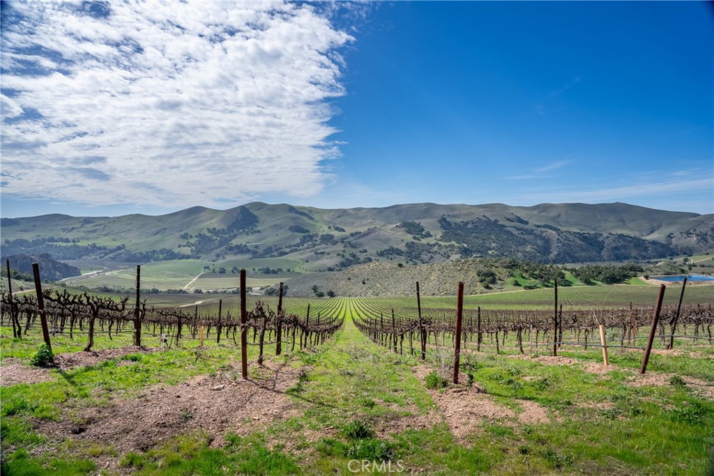 MLS #NS25230187 image #14