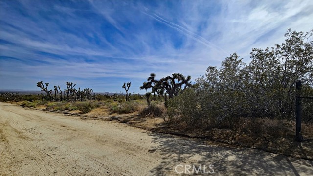 Detail Gallery Image 6 of 49 For 0 103rd St East Vicinity W14, –,  CA 93543 - – Beds | – Baths