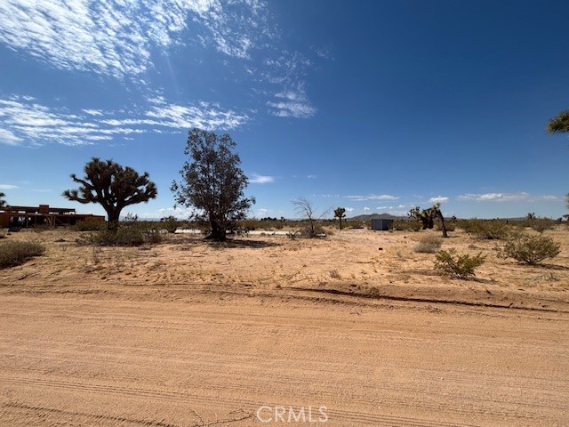 MLS #JT25102656 image #10