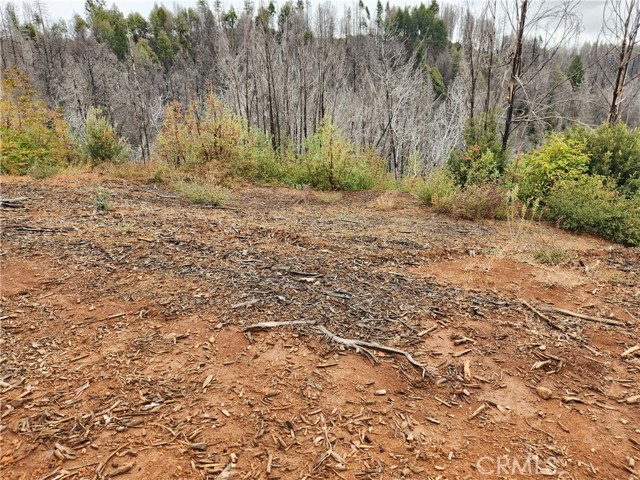 Detail Gallery Image 2 of 8 For 0 Oro-Quincy, Berry Creek,  CA 95916 - – Beds | – Baths