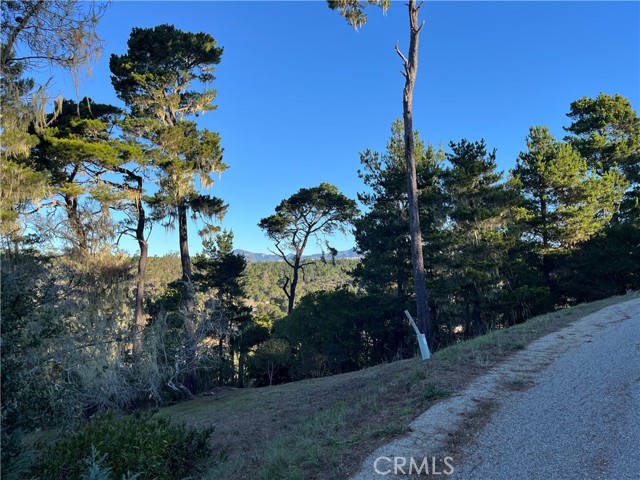 Detail Gallery Image 2 of 13 For 3235 Rogers, Cambria,  CA 93428 - – Beds | – Baths