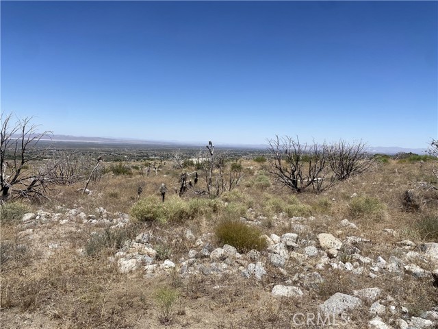 Detail Gallery Image 1 of 1 For 0 E Avenue Z, Llano,  CA 93544 - – Beds | – Baths