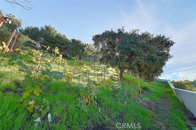 Detail Gallery Image 38 of 44 For 3952 Oakfield Dr, Sherman Oaks,  CA 91423 - 5 Beds | 4/1 Baths