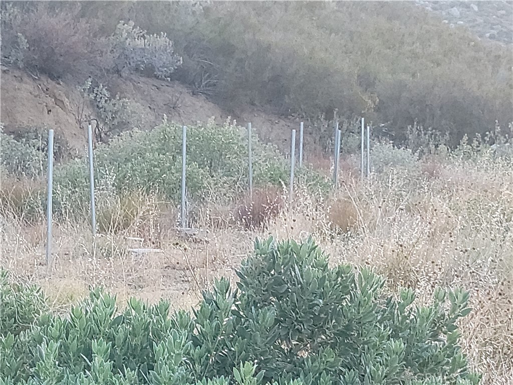 MLS #IV25196430 image #1