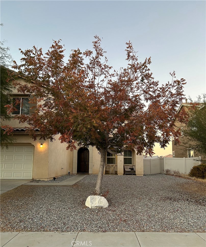 14424 Black Mountain Place