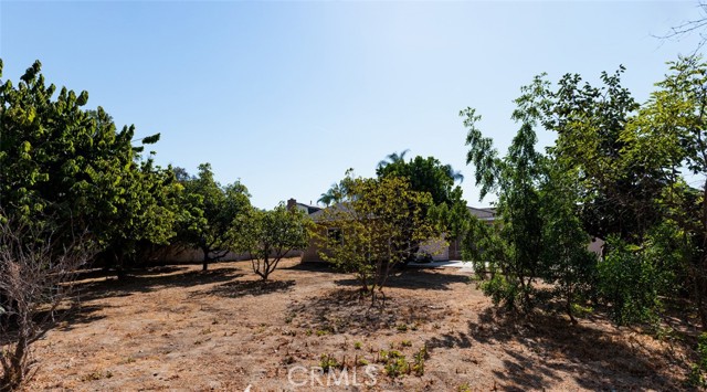 11211 Newport Ave., North Tustin CA: https://media.crmls.org/medias/5841a133-438b-4aab-b8b0-d6e0d06dfbee.jpg