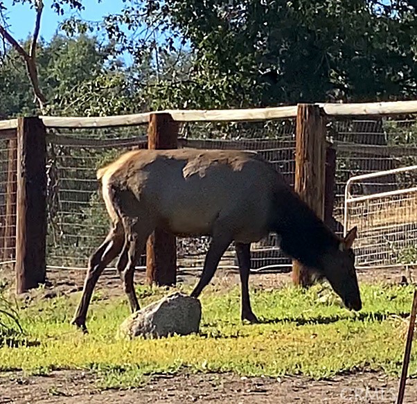 Detail Gallery Image 3 of 7 For 29580 Starland, Tehachapi,  CA 93561 - – Beds | – Baths