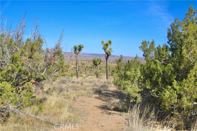 1234 Indio Avenue, Yucca Valley, California 92284, ,Land,For Sale,1234 Indio Avenue,CRJT23147696