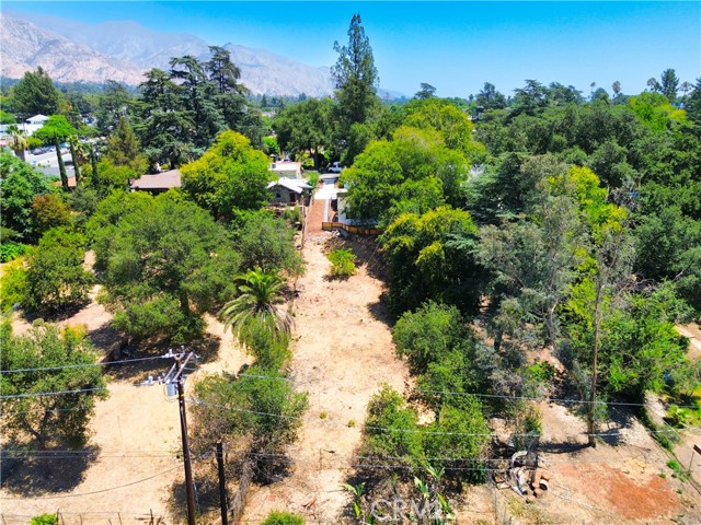 2123 Navarro Avenue, Altadena CA: https://media.crmls.org/medias/5850d85d-d860-4b8a-a286-91639328955c.jpg