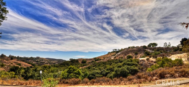 Detail Gallery Image 49 of 54 For 32171 Mill Stream Rd, Rancho Santa Margarita,  CA 92679 - 4 Beds | 3 Baths