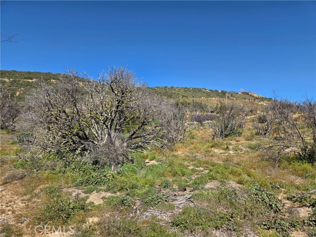 Detail Gallery Image 5 of 10 For 0 Howard, Anza,  CA 92539 - – Beds | – Baths