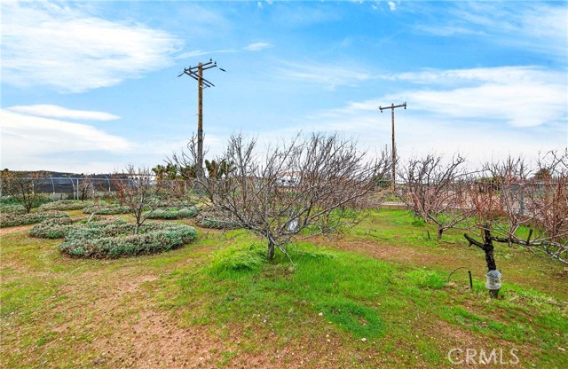 Detail Gallery Image 54 of 67 For 5635 Hollister, Phelan,  CA 92371 - 4 Beds | 3 Baths