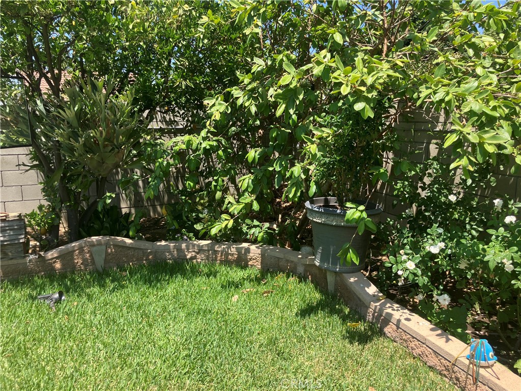 MLS #IV25158074 image #36