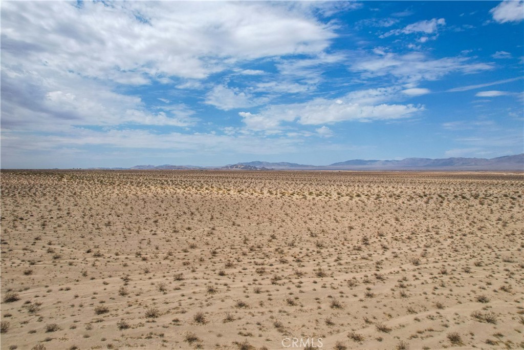 MLS #JT25081343 image #19