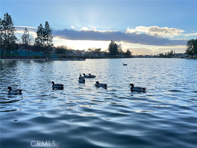 Detail Gallery Image 62 of 71 For 30665 Spring Deep Terrace, Menifee,  CA 92584 - 4 Beds | 3 Baths