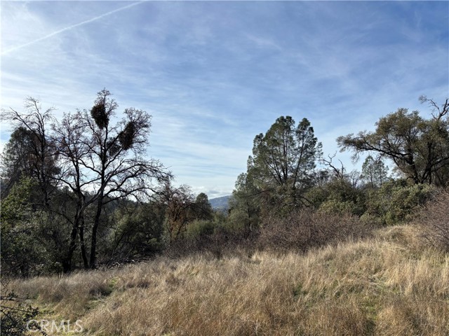 Detail Gallery Image 9 of 9 For 0 Daffodil Dr, Mariposa,  CA 95338 - – Beds | – Baths