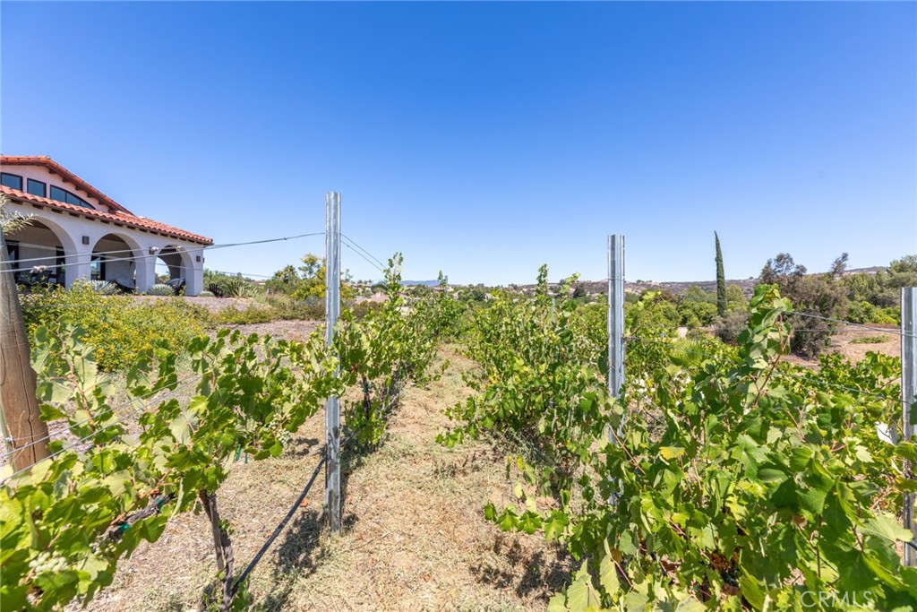 MLS #SW25171364 img 41