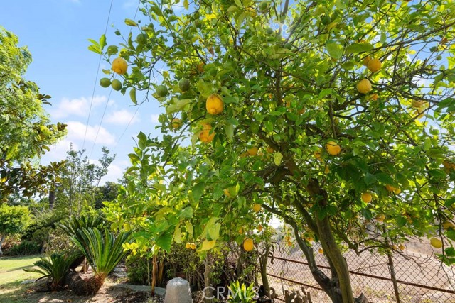 3241 Belle River Drive, Hacienda Heights CA: https://media.crmls.org/medias/5868a50e-46a6-4a45-8d7f-a87731992211.jpg