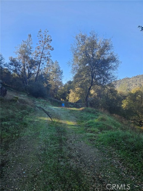 Detail Gallery Image 39 of 49 For 50814 Road 200, O Neals,  CA 93645 - 3 Beds | 3 Baths