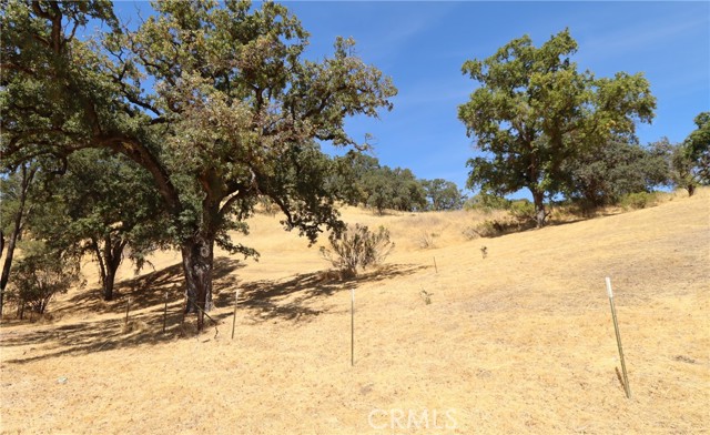 620 Park Way, Lakeport CA: https://media.crmls.org/medias/5869fe11-f1df-41c3-ab54-03b0064001bd.jpg