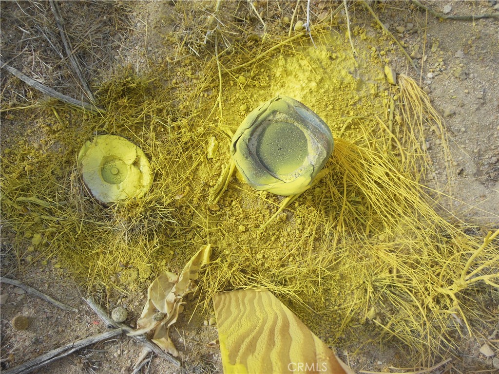 MLS #OC25175074 image #5